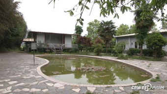 農家樂游泳池變成景觀池 五歲半幼童溺亡