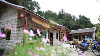 七月,我們相約茅溪