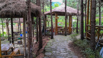 航拍防城白馬山莊,夏日游玩休閑農家樂