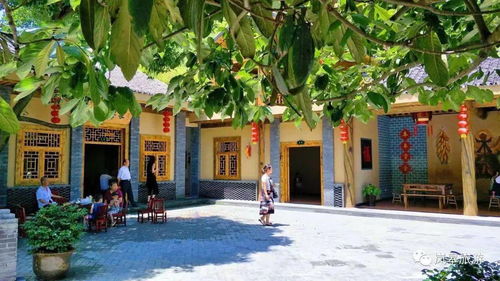 楊家院子 尋找鄉愁記憶 回歸體驗自然