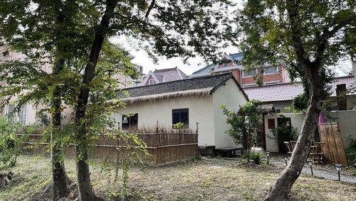 再火爆也不翻桌 滬郊這個(gè)農(nóng)家樂夠 土 ,也夠有人情味