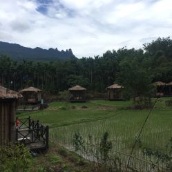 七仙嶺瑤池酒店臟鴨子農(nóng)家樂餐廳電話,地址,營業(yè)時間(圖)-保亭美食-大眾點評網(wǎng)