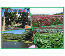 深圳農(nóng)家樂旅游優(yōu)質(zhì)商家置頂推薦產(chǎn)品