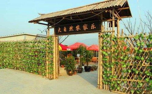 農村里紅極一時的農家樂,為何成了夕陽產業,網友 難怪會關門
