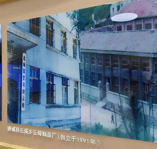 湖北咸寧新首富誕生了,干出全球龍頭企業,如今一家六口身價33億