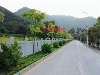 圖 公司年終聚餐 烤全羊 篝火晚會 團隊拓展等 深圳度假村 農家樂