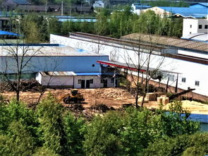 河舒工業園食品企業與木材加工廠共處一個廠之內