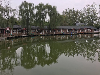 冬日暖陽,三圣鄉農家樂走一波,喝茶曬太陽