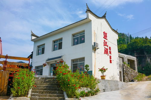 紅樹林保護(hù)區(qū)圖片素材下載 自然風(fēng)景素材下的海洋海島圖片素材